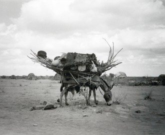 Nomad Possessions by Padraig Grant
