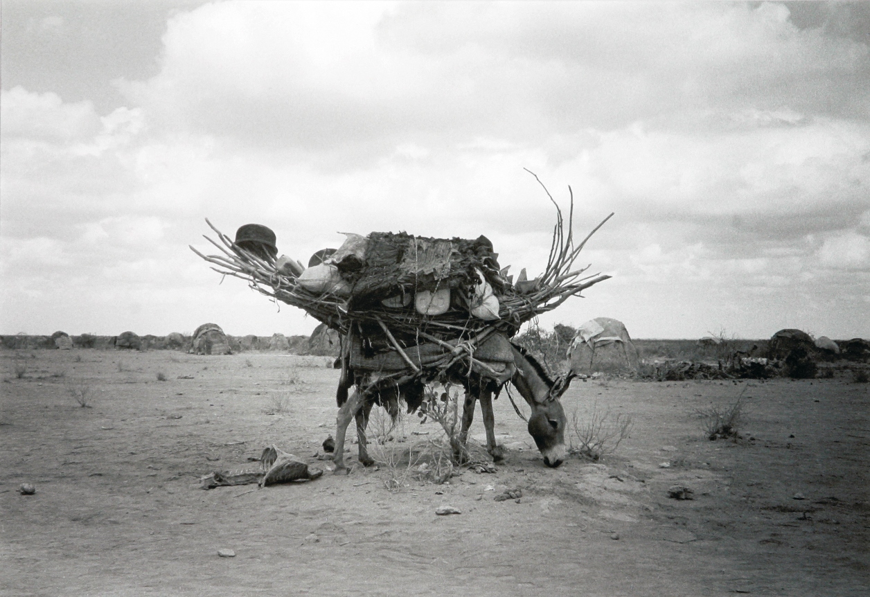 Nomad Possessions by Padraig Grant