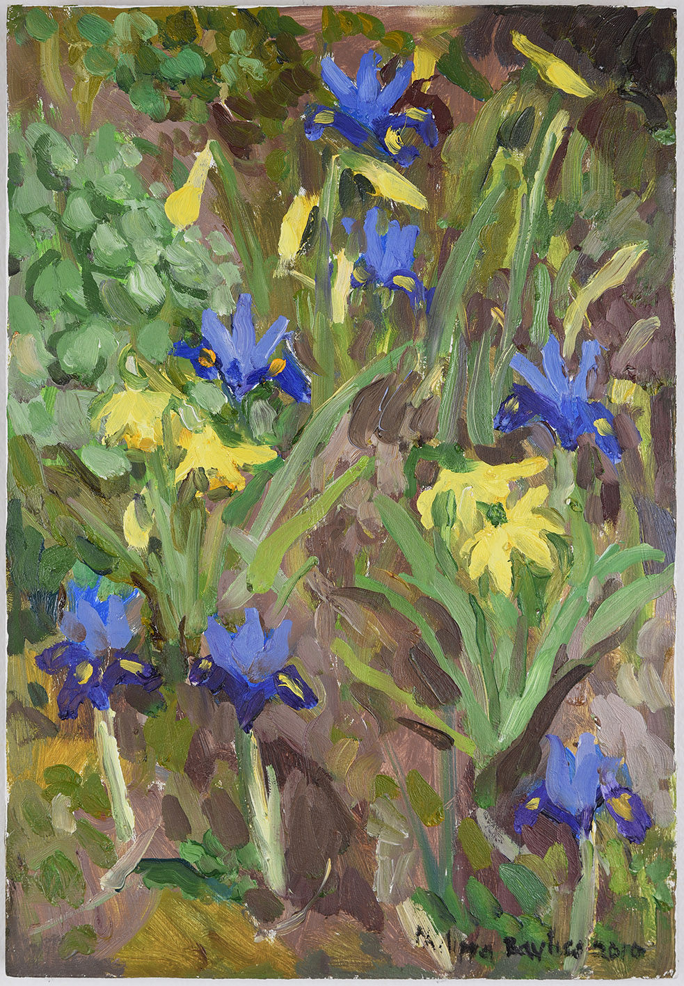 Dame Phillipa Bayliss – Irisis with Daffs