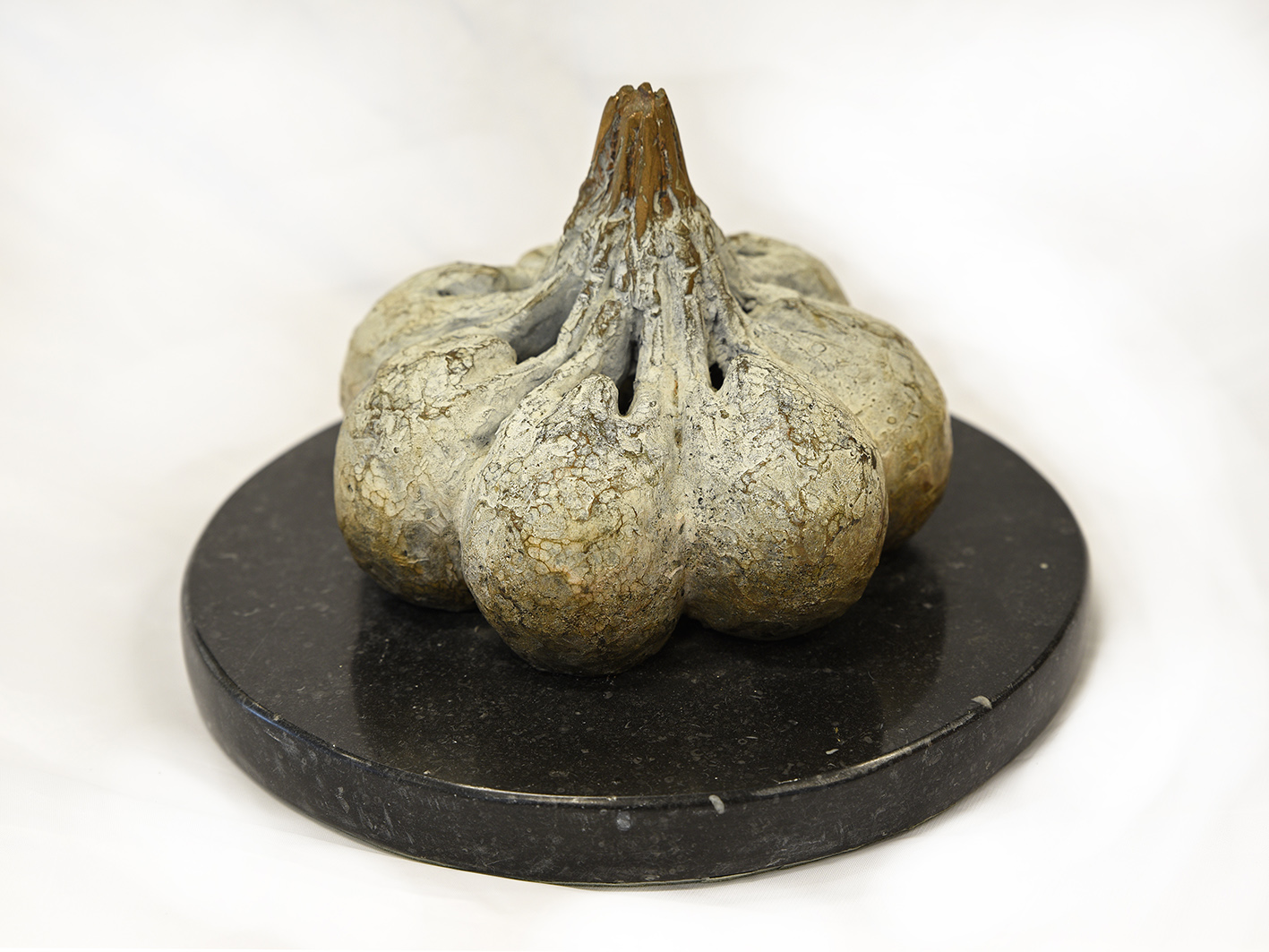 Cussens Cliodhna – Slug ag Sui