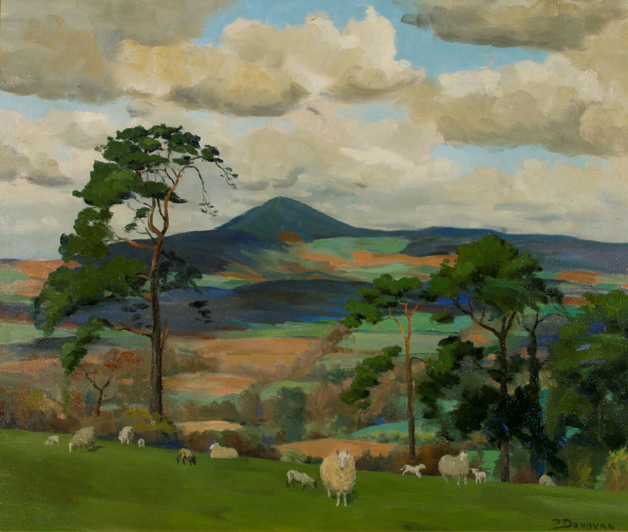 Donovan Phoebe – Slieve Bhuidhe