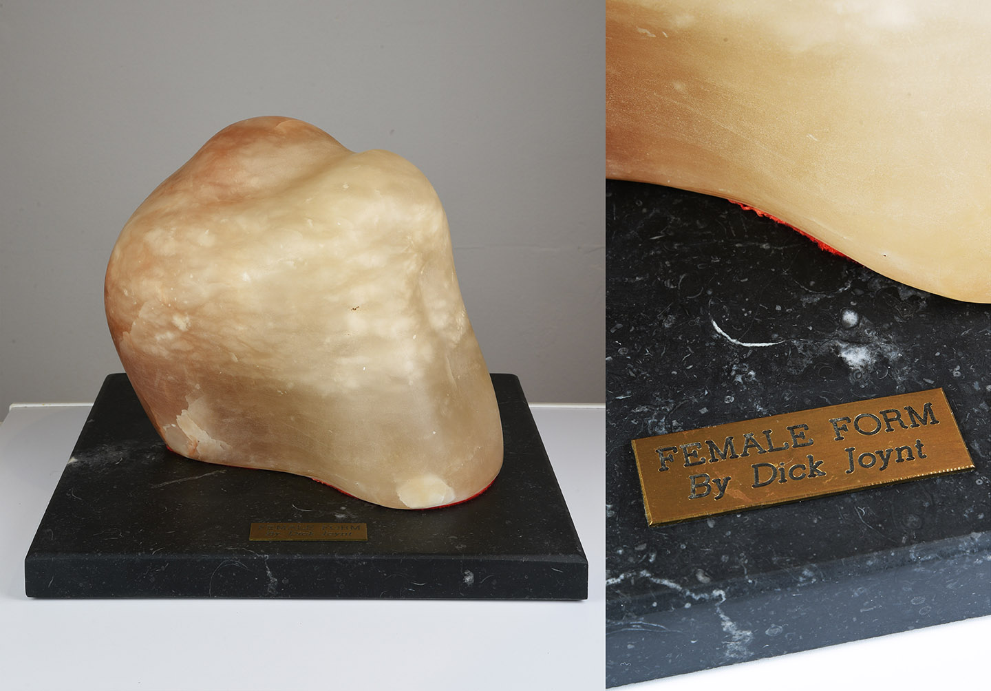 Joynt Dick – Female Form